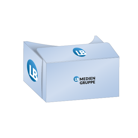 VR Cardboard